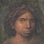 Homo EurAsian-Denisovan; illus. Maayan Harel, Hebrew University, Yᵊrushalayim